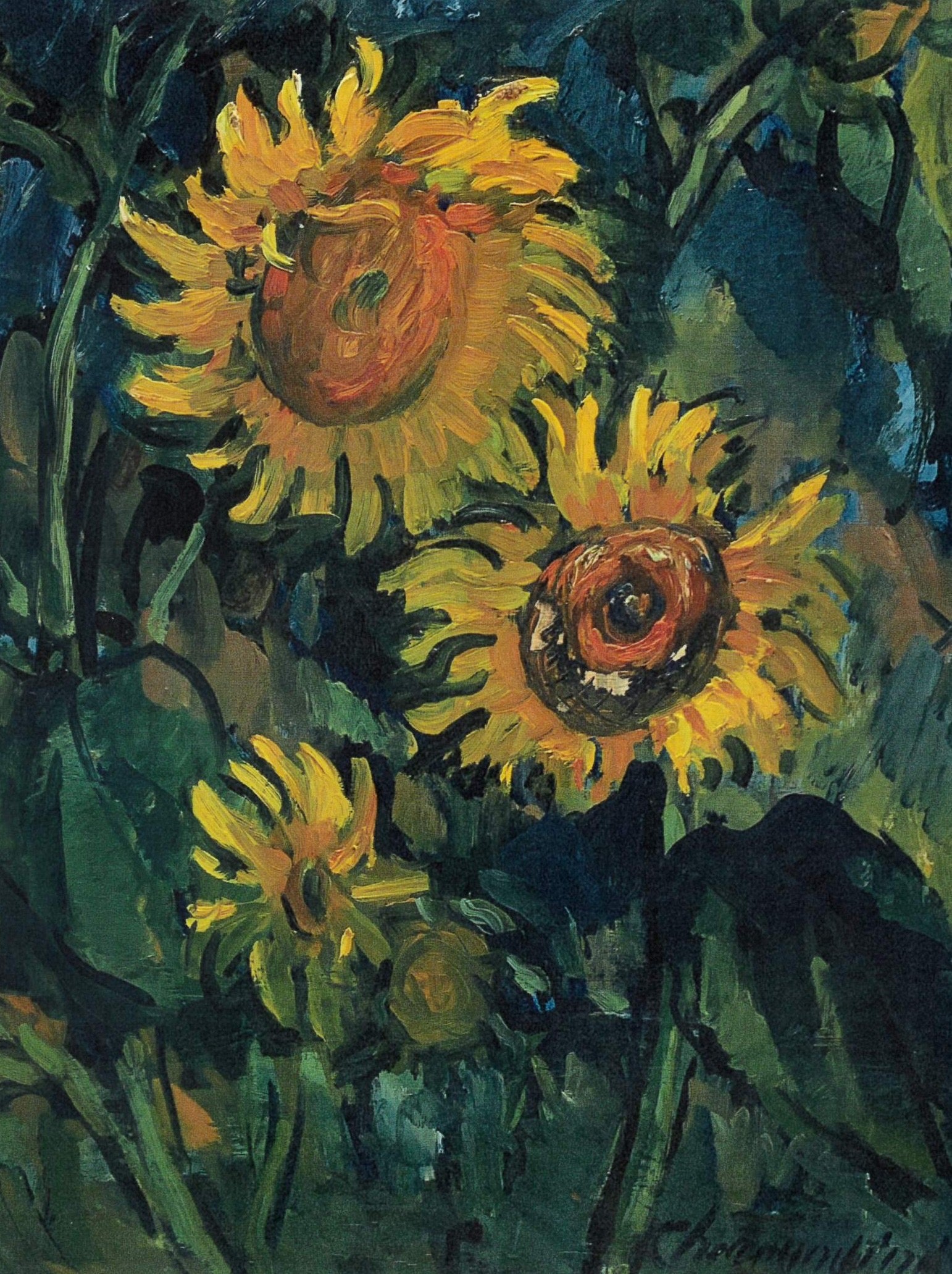 Untitled Sunflowers